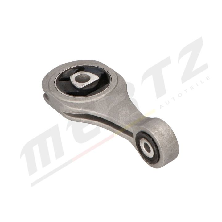 Variklio montavimas MERTZ M-S4895