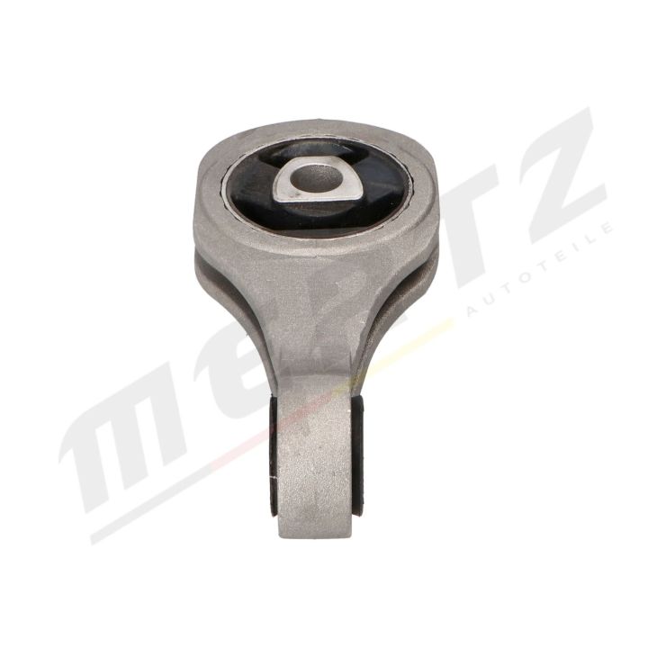 Variklio montavimas MERTZ M-S4895