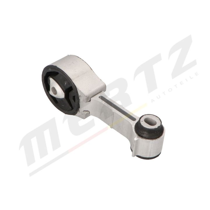 Variklio montavimas MERTZ M-S4966