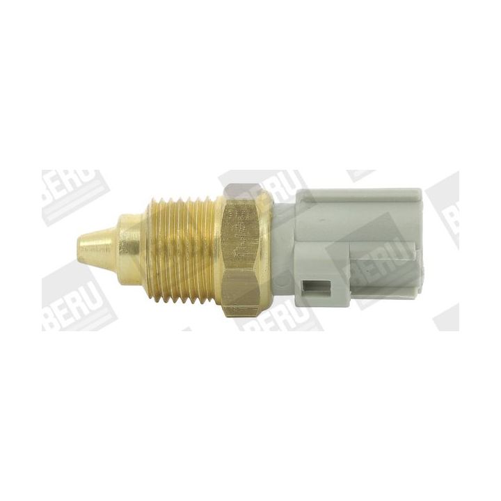 Siuntimo blokas, aušinimo skysčio temperatūra BERU by DRiV ST267
