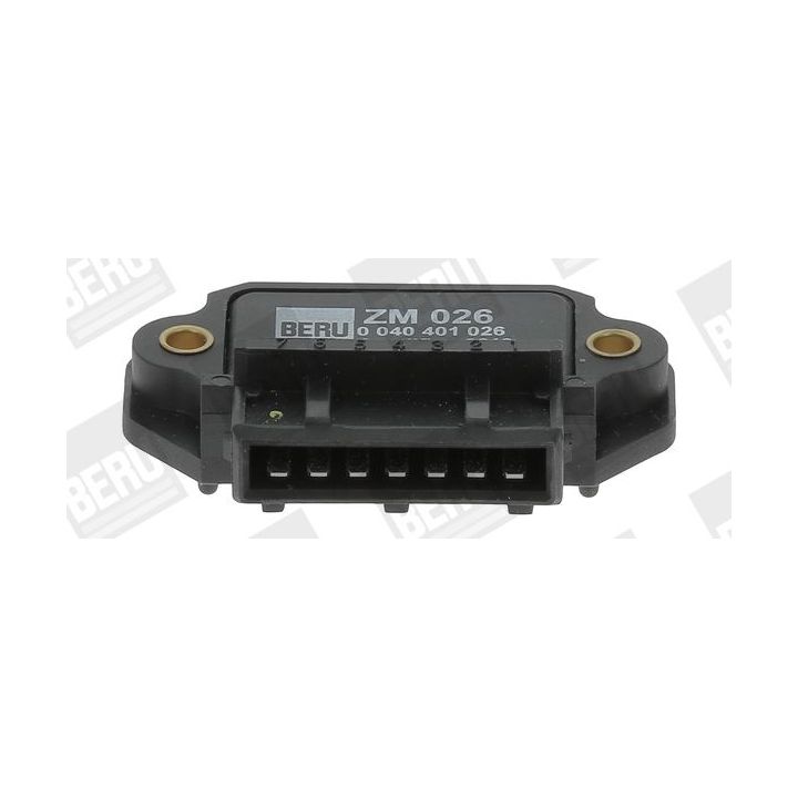 Uždegimo jungiklis BERU by DRiV ZM026