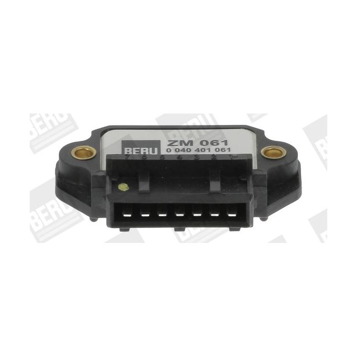 Uždegimo jungiklis BERU by DRiV ZM061