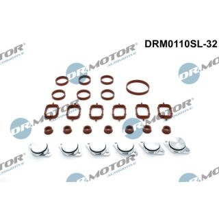 Remonto komplektas, įsiurbimo kolektoriaus modulis Dr.Motor Automotive DRM0110SL-32