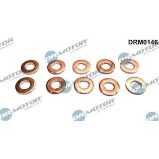 šiluminis ekranas, įpurškimo sistema Dr.Motor Automotive DRM0146