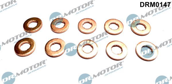 šiluminis ekranas, įpurškimo sistema Dr.Motor Automotive DRM0147