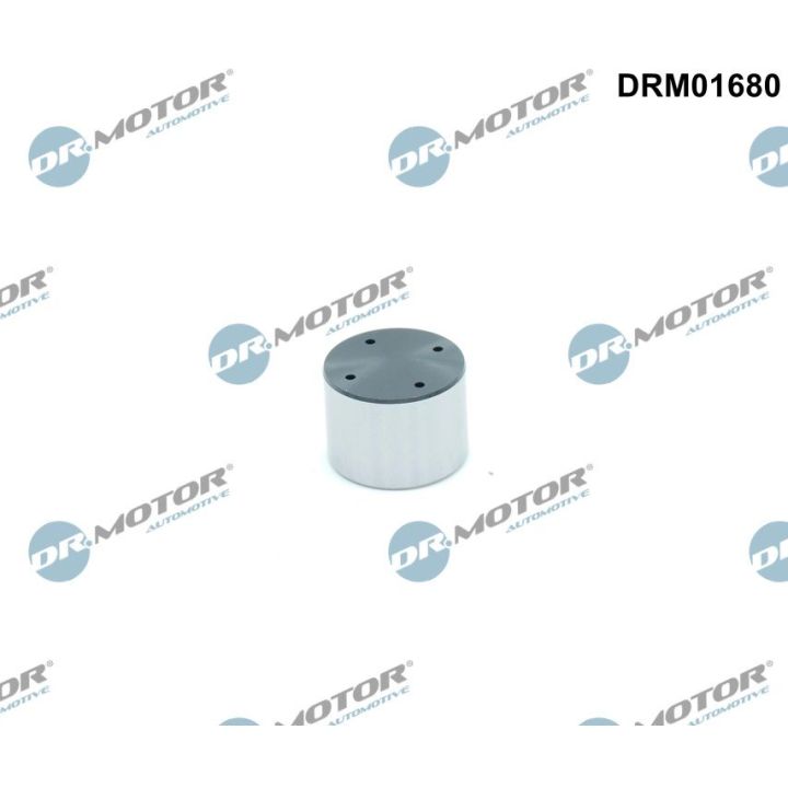 Aukšto slėgio siurblio stūmoklis Dr.Motor Automotive DRM01680