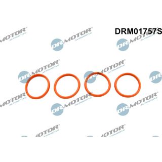 Tarpiklių rinkinys, įsiurbimo kolektorius Dr.Motor Automotive DRM01757S