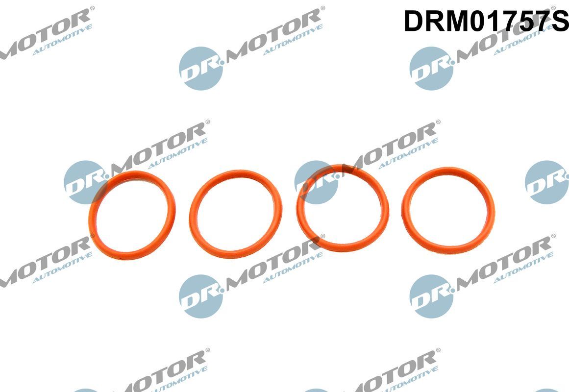 Tarpiklių rinkinys, įsiurbimo kolektorius Dr.Motor Automotive DRM01757S