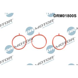 Tarpiklių rinkinys, įsiurbimo kolektorius Dr.Motor Automotive DRM01800S