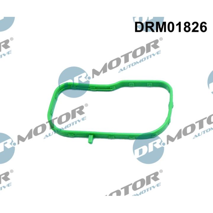Tarpiklis, įsiurbimo kolektorius Dr.Motor Automotive DRM01826