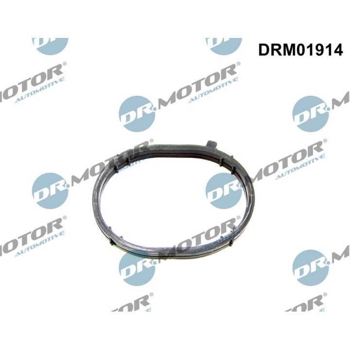 Tarpiklis, įsiurbimo kolektorius Dr.Motor Automotive DRM01914