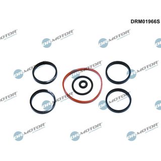 Tarpiklių rinkinys, įsiurbimo kolektorius Dr.Motor Automotive DRM01966S