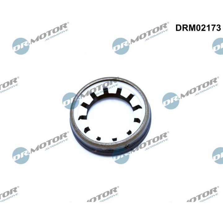 Veleno sandariklis, diferencialas Dr.Motor Automotive DRM02173