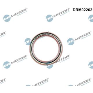 Veleno sandariklis, alkūninis velenas Dr.Motor Automotive DRM02262