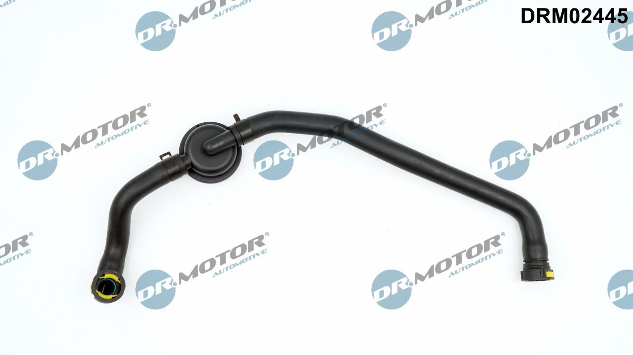 žarna, karterio alsuoklis Dr.Motor Automotive DRM02445