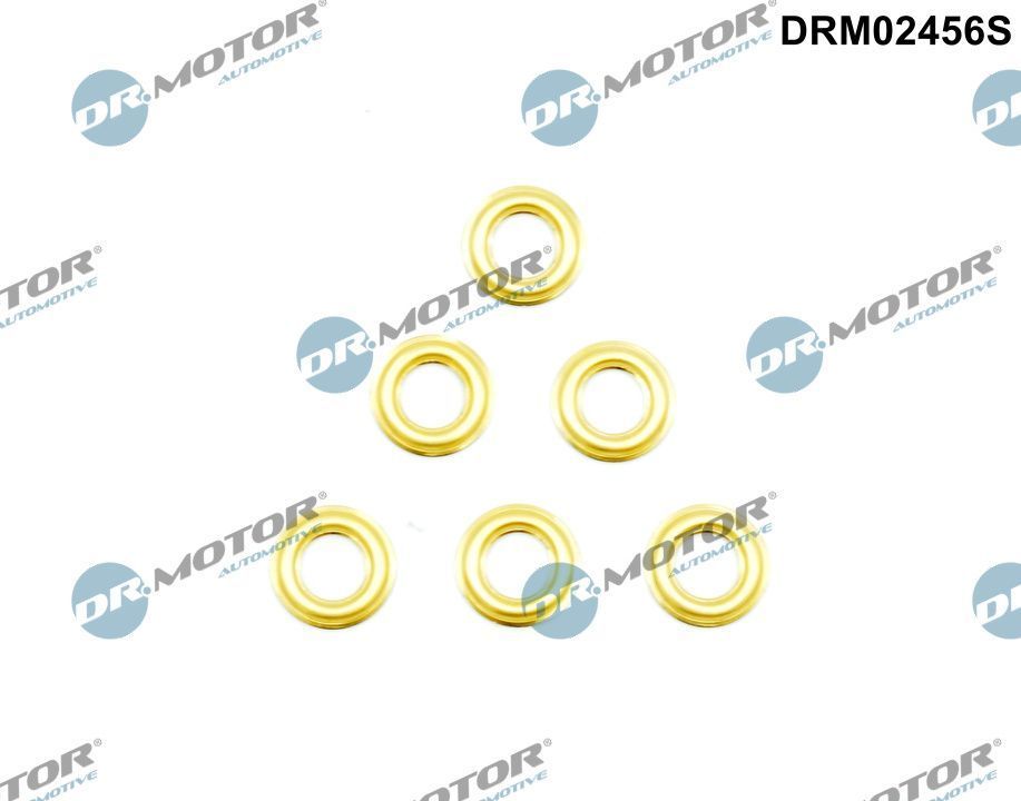 šiluminis ekranas, įpurškimo sistema Dr.Motor Automotive DRM02456S