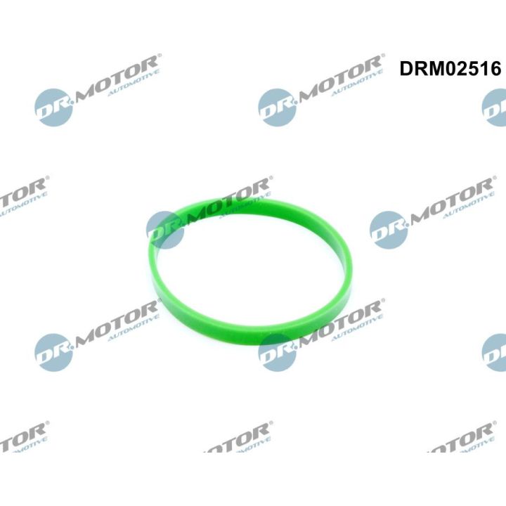 Tarpiklis, įsiurbimo kolektorius Dr.Motor Automotive DRM02516