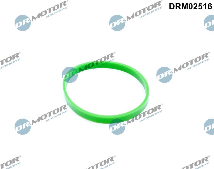 Tarpiklis, įsiurbimo kolektorius Dr.Motor Automotive DRM02516