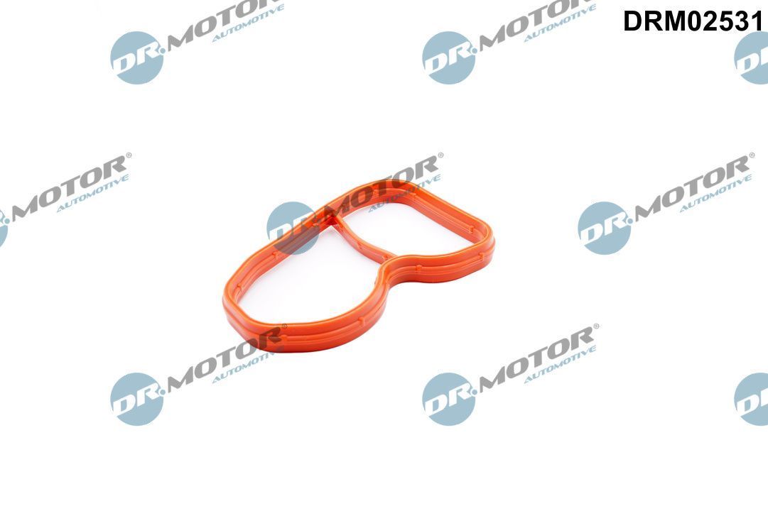 Tarpiklis, įsiurbimo kolektorius Dr.Motor Automotive DRM02531
