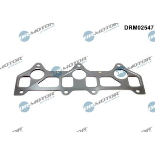 Tarpiklis, įsiurbimo kolektorius Dr.Motor Automotive DRM02547