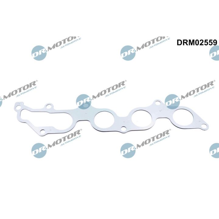 Tarpiklis, išleidimo kolektorius Dr.Motor Automotive DRM02559