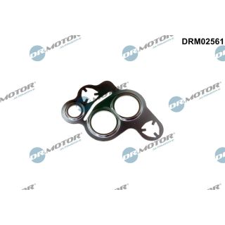 Tarpiklis, EGR vožtuvas Dr.Motor Automotive DRM02561