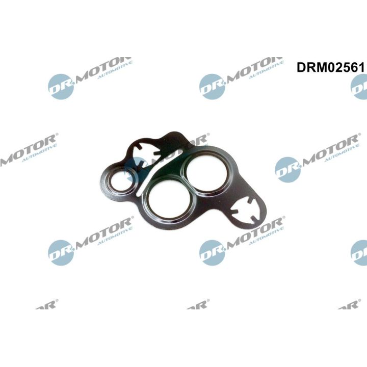 Tarpiklis, EGR vožtuvas Dr.Motor Automotive DRM02561