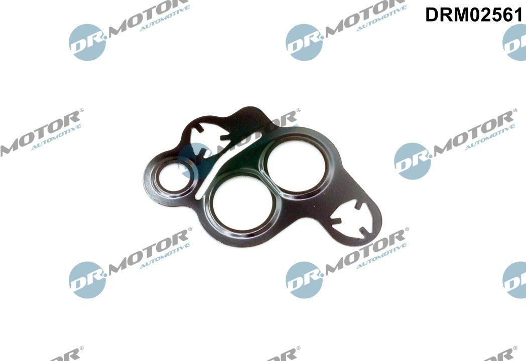 Tarpiklis, EGR vožtuvas Dr.Motor Automotive DRM02561
