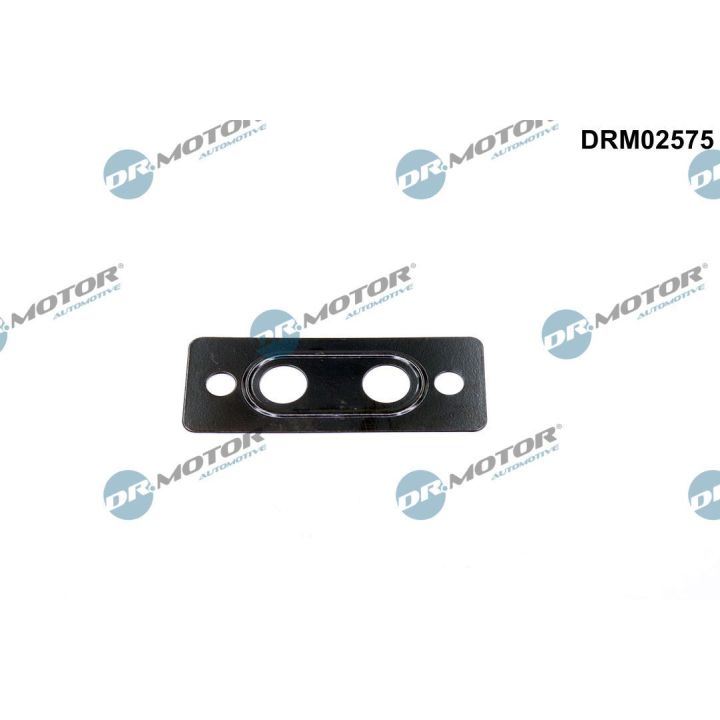 Tarpiklis, vandens jungtis (piltuvas) Dr.Motor Automotive DRM02575