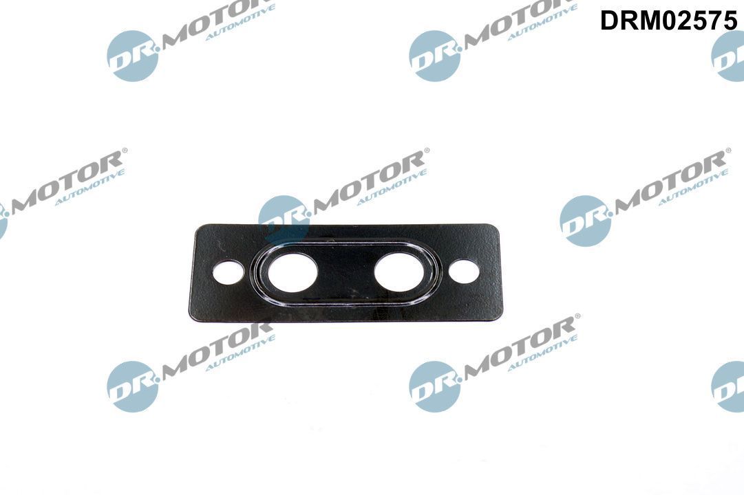 Tarpiklis, vandens jungtis (piltuvas) Dr.Motor Automotive DRM02575