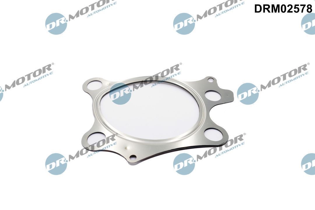 Tarpiklis, išleidimo kolektorius Dr.Motor Automotive DRM02578
