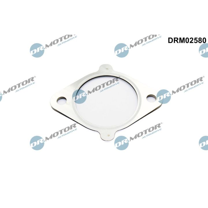 Tarpiklis, EGR vožtuvas Dr.Motor Automotive DRM02580