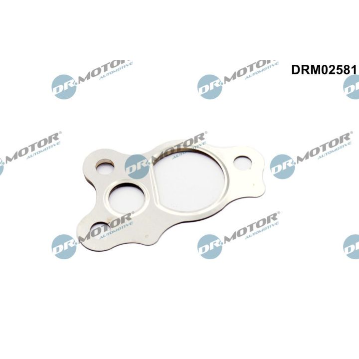 Tarpiklis, EGR vožtuvas Dr.Motor Automotive DRM02581