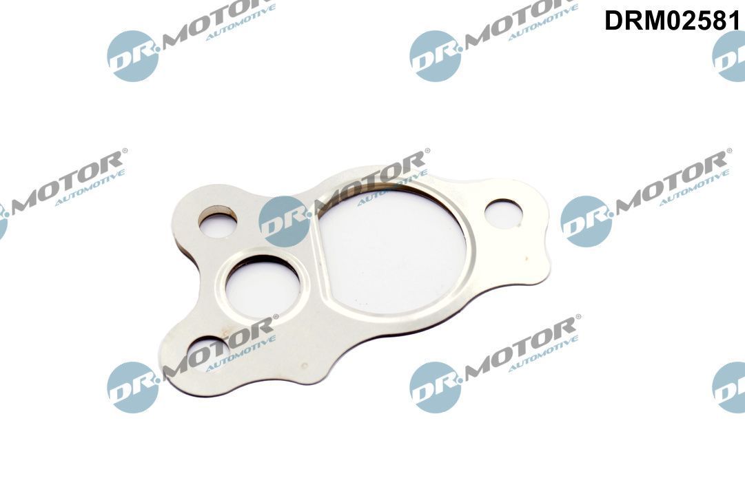 Tarpiklis, EGR vožtuvas Dr.Motor Automotive DRM02581