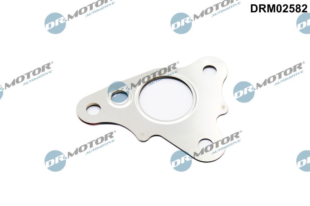 Tarpiklis, EGR vožtuvo vamzdelis Dr.Motor Automotive DRM02582
