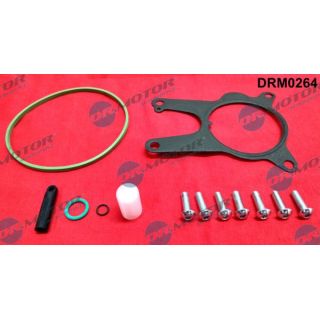 Remonto komplektas, vakuumo siurblys (stabdymo įrenginys) Dr.Motor Automotive DRM0264