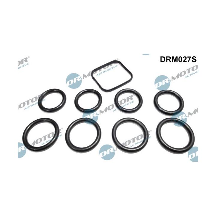 Tarpiklių rinkinys, įsiurbimo kolektorius Dr.Motor Automotive DRM027S
