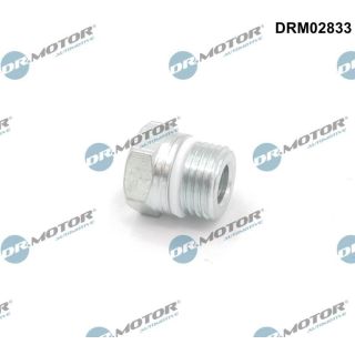 įmova, vairavimo mechanizmo žarnelė Dr.Motor Automotive DRM02833