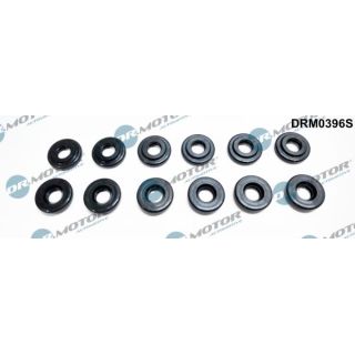 Sandarinimo žiedas, cilindro galvos dangtelio varžtas Dr.Motor Automotive DRM0396S