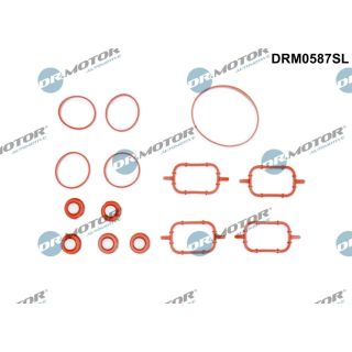 Tarpiklių rinkinys, įsiurbimo kolektorius Dr.Motor Automotive DRM0587SL