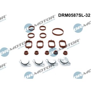 Remonto komplektas, įsiurbimo kolektoriaus modulis Dr.Motor Automotive DRM0587SL-32