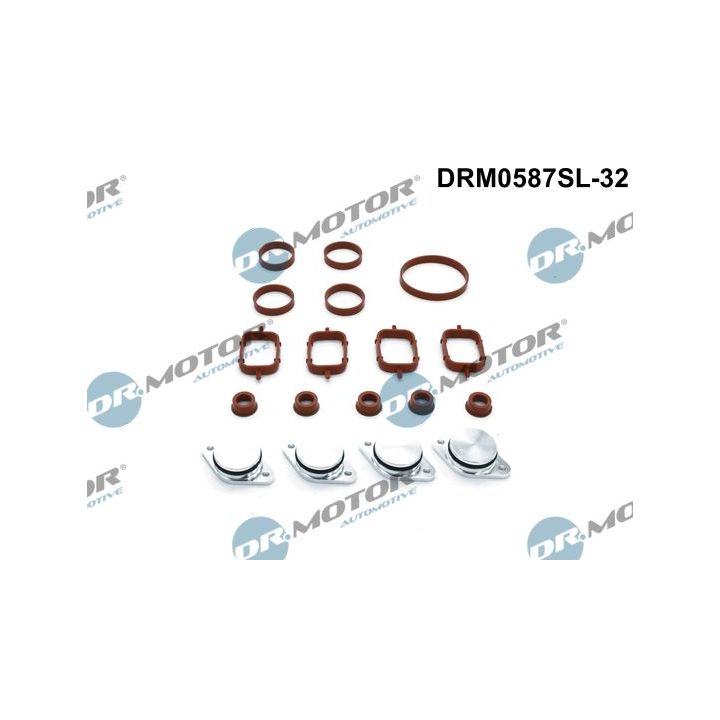 Remonto komplektas, įsiurbimo kolektoriaus modulis Dr.Motor Automotive DRM0587SL-32