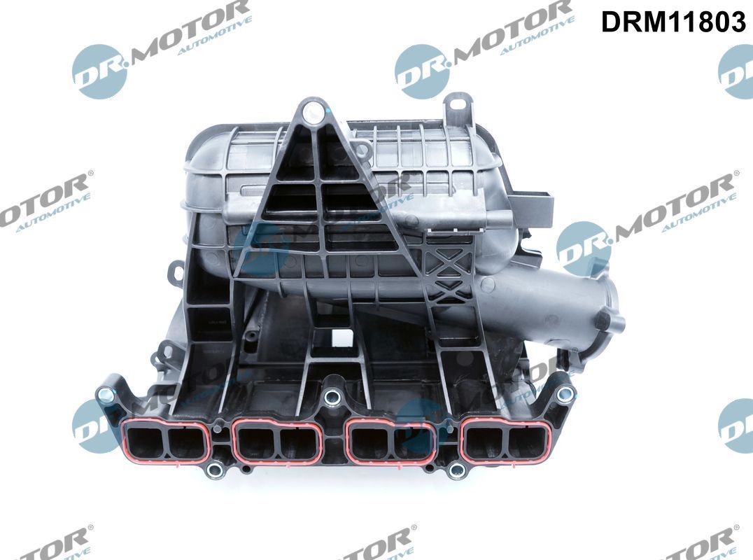 įsiurbimo kolektoriaus modulis Dr.Motor Automotive DRM11803