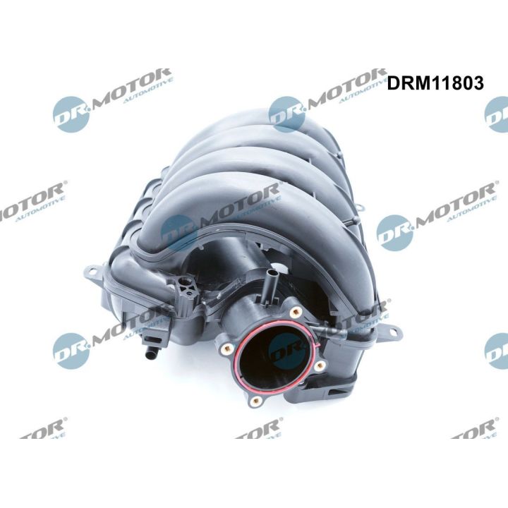 įsiurbimo kolektoriaus modulis Dr.Motor Automotive DRM11803