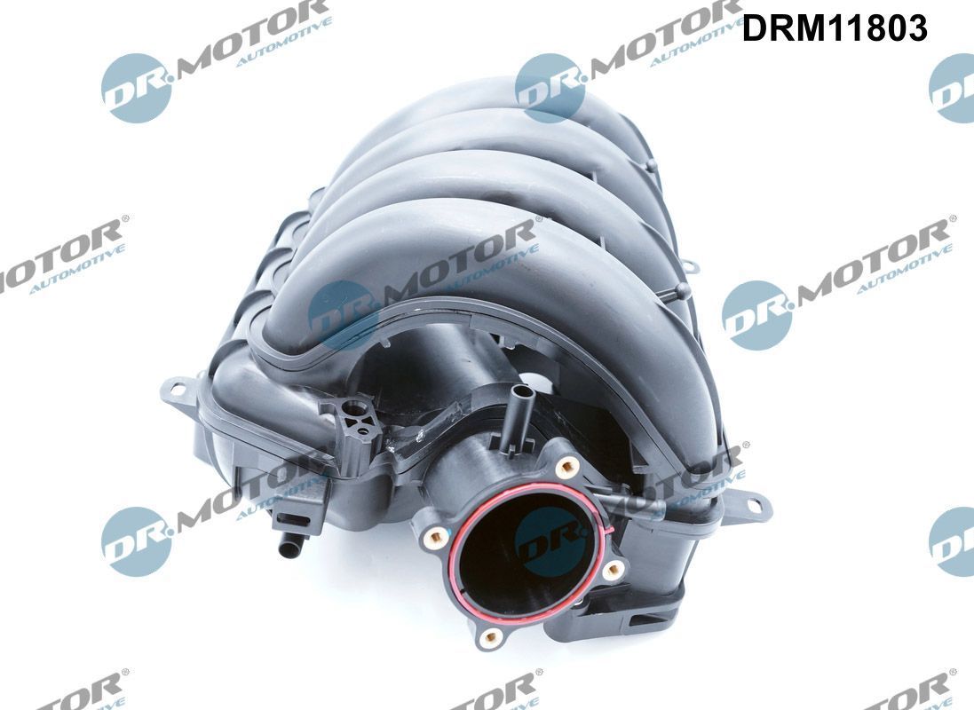 įsiurbimo kolektoriaus modulis Dr.Motor Automotive DRM11803