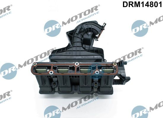 įsiurbimo kolektoriaus modulis Dr.Motor Automotive DRM14801