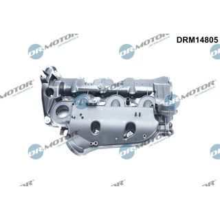 įsiurbimo kolektoriaus modulis Dr.Motor Automotive DRM14805