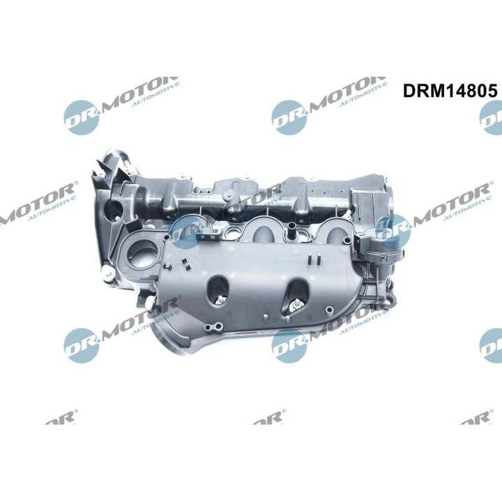 įsiurbimo kolektoriaus modulis Dr.Motor Automotive DRM14805