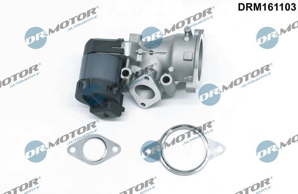 ERG vožtuvas Dr.Motor Automotive DRM161103