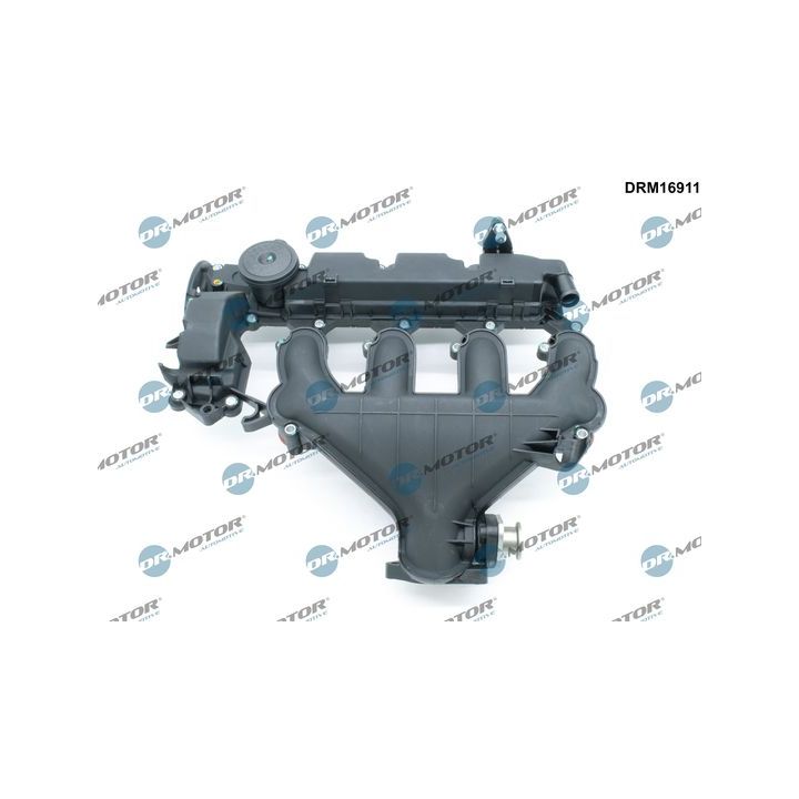 įsiurbimo kolektoriaus modulis Dr.Motor Automotive DRM16911